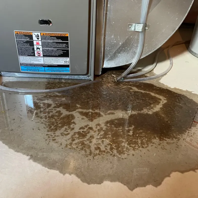 Appliance Leak Cleanup in Mona, UT