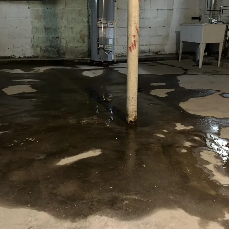 Emergency Water Extraction And Removal in Mona, UT